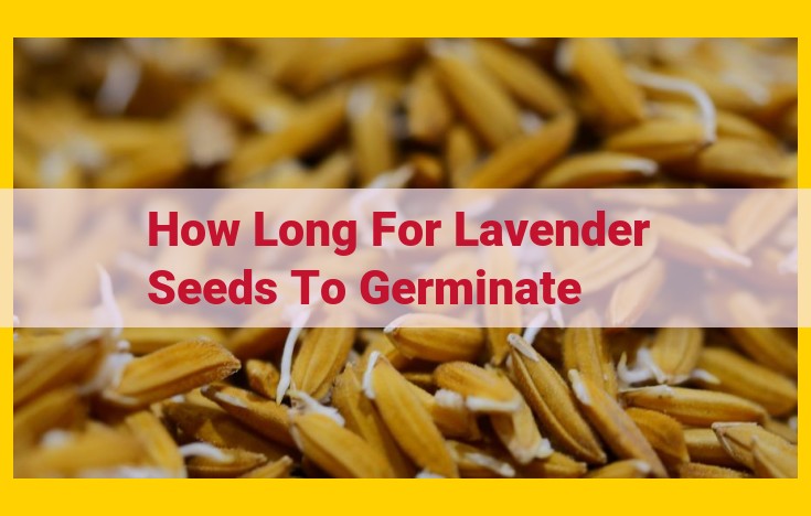 Lavender Seed Germination: A Comprehensive Guide to Optimal Conditions and Success