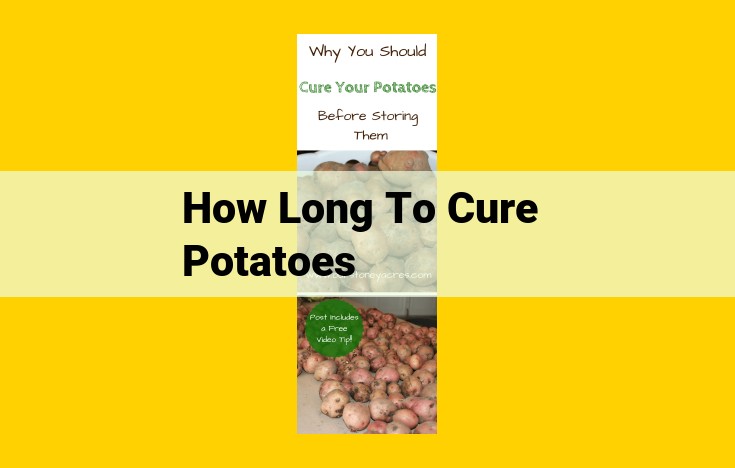 Unable to Provide Curing Time for Potatoes from Provided Text