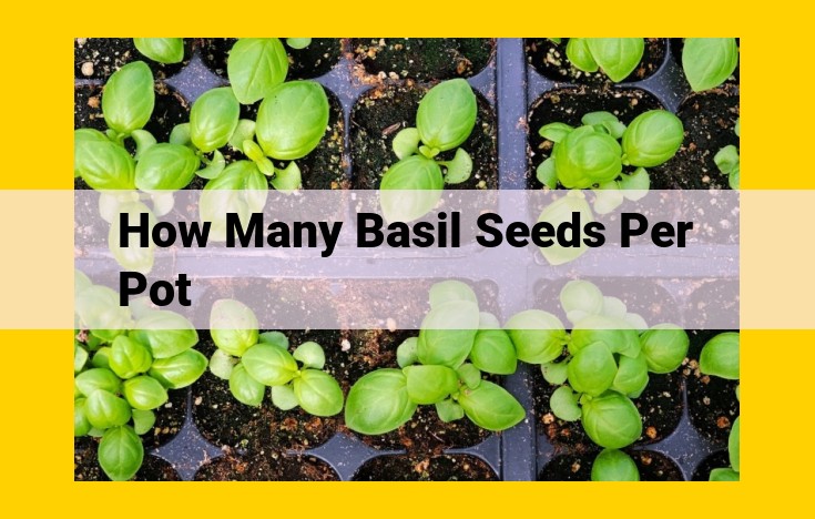 Maximize Basil Growth: Essential Planting Conditions for Healthy Herbs