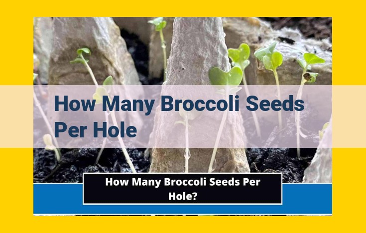 Optimize Broccoli Seed Germination: A Guide to Successful Planting