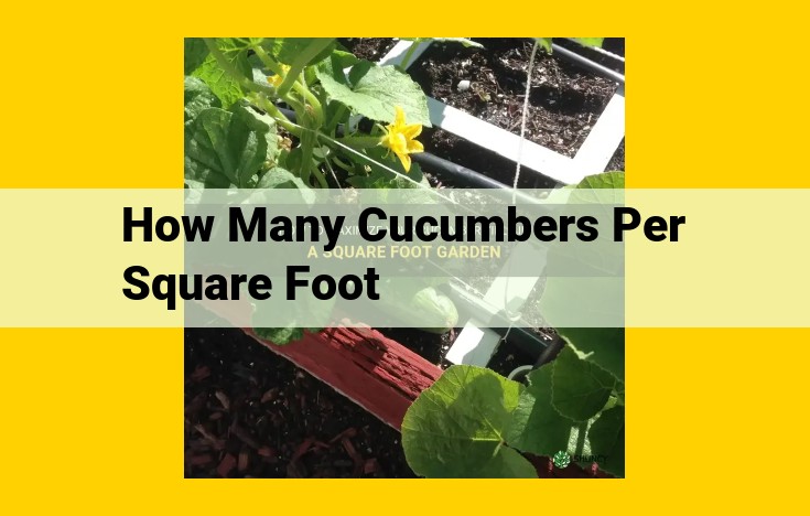 Maximize Cucumber Harvest: Essential Spacing Guide for Optimal Growth