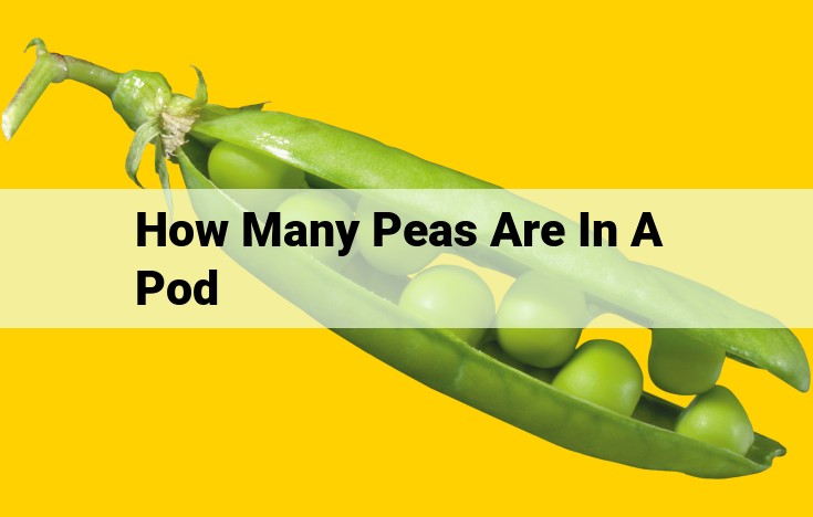 Complete Guide to the Number of Peas in a Pod: Factors Influencing Variability