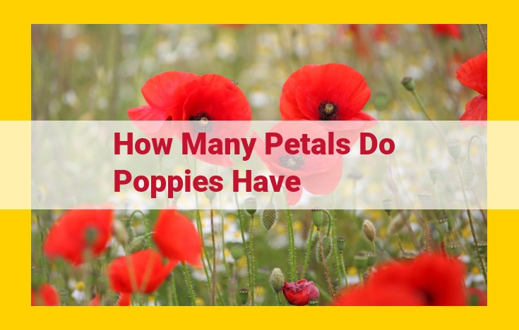 Poppies: Unveiling the Petal Profusion of Nature's Enchanting Blooms