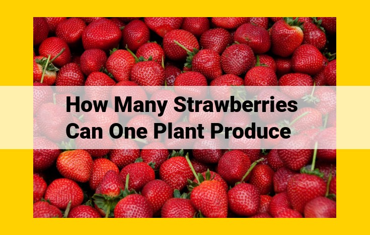 Maximize Strawberry Harvest and Productivity: Achieving Abundant Yields