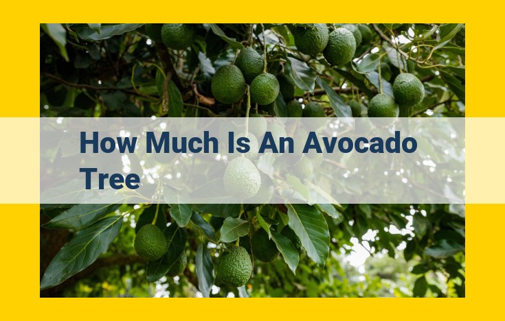 Avocado Tree Prices: A Comprehensive Guide to Costs and Options