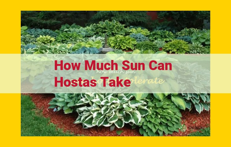 Hosta Sun and Shade Tolerance: A Comprehensive Guide for Optimal Growth and Aesthetics