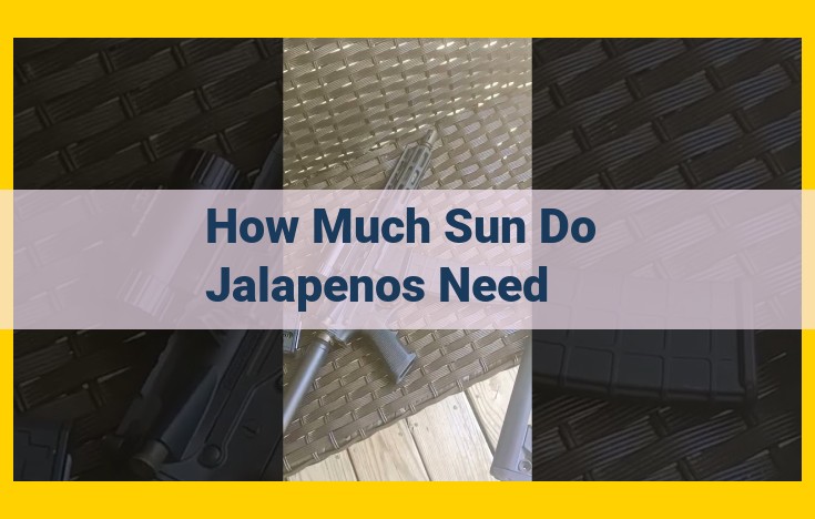 Unlock the Secrets of Sunlight: Maximizing Jalapeno Growth and Health