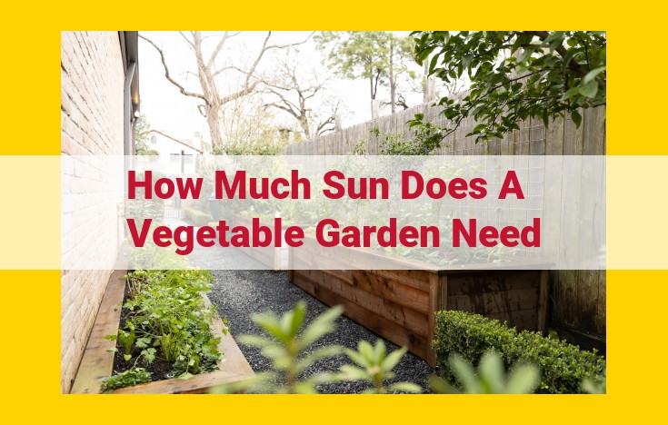 Optimize Vegetable Garden Sunlight Exposure for Thriving Growth: Understanding Photosynthesis and Chlorophyll