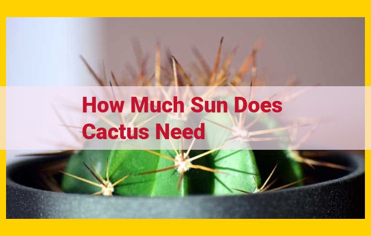 Essential Sunlight Needs for Cacti: Optimizing Growth and Health