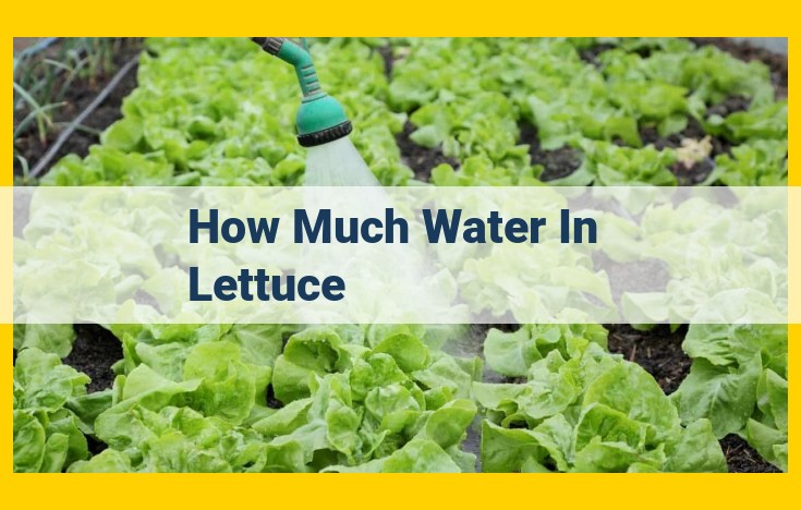 Lettuce: Your Leafy Green Water Guzzler and the Importance of Water-Wise Choices