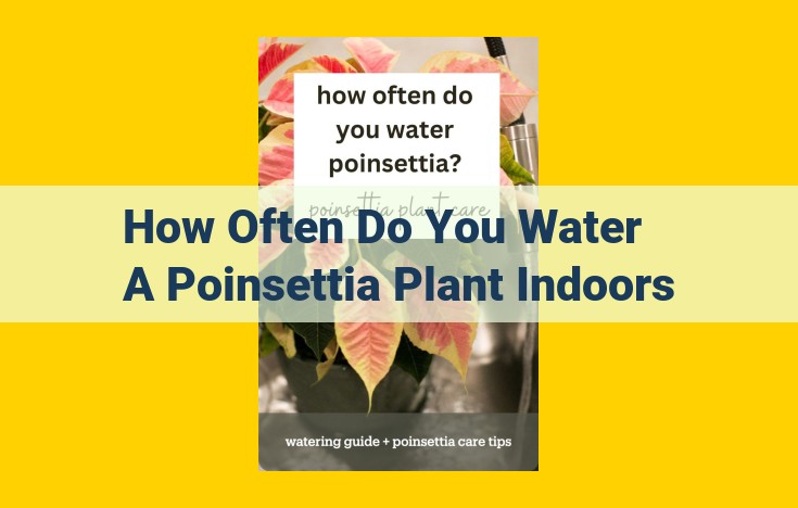 Complete Guide to Proper Care for Indoor Poinsettia Plants: Watering, Humidity, Light, and Temperature