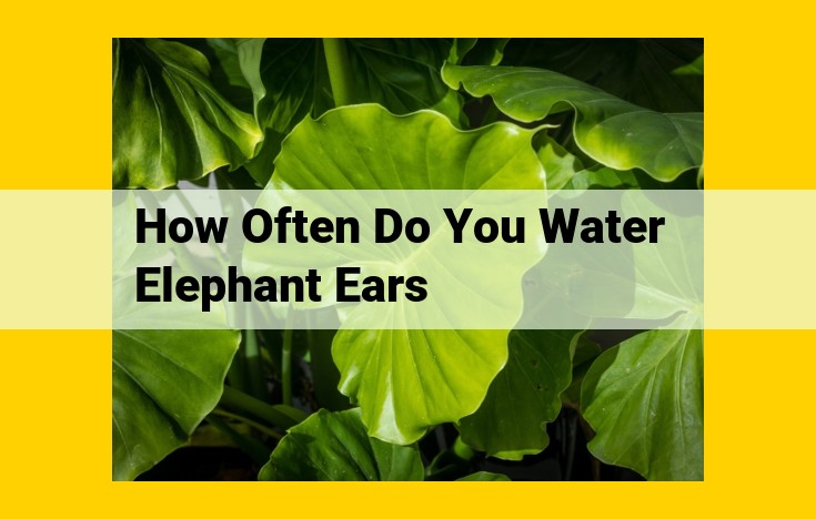 Optimized Title for SEO: The Ultimate Watering Guide for Thriving Elephant Ears: Tips for Optimal Growth and Health