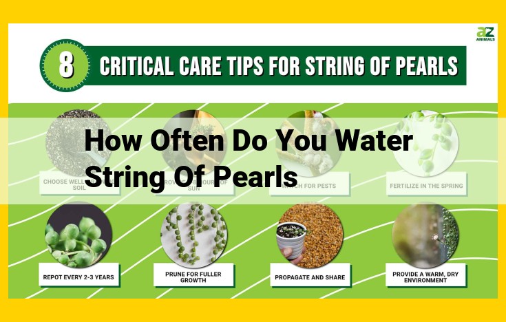 Ultimate Watering Guide: How Often to Water String of Pearls for Healthy Growth