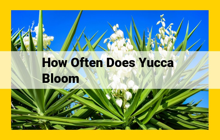 Comprehensive Guide: Understanding the Unique Blooming Habits of Yucca Plants