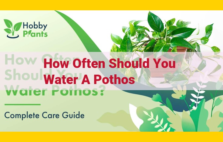 Optimized Title for SEO: Maximize Pothos Health: Discover the Science-Backed Watering Guide for Soil Moisture and Drainage