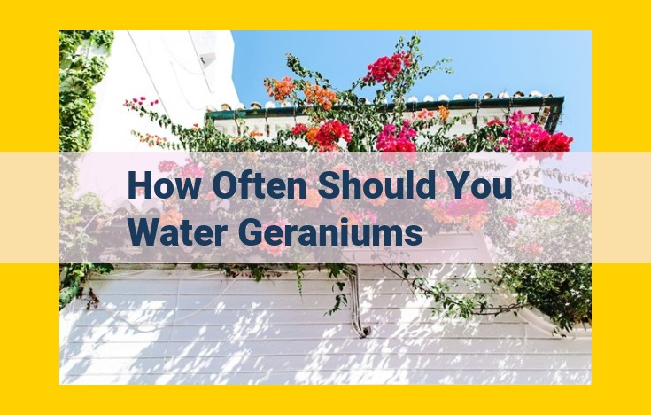 Geranium Watering Guide: Frequency, Amount, and Tips to Avoid Overwatering