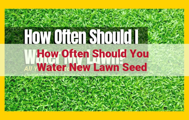 Optimize Watering Frequency for a Healthy New Lawn: A Comprehensive Guide