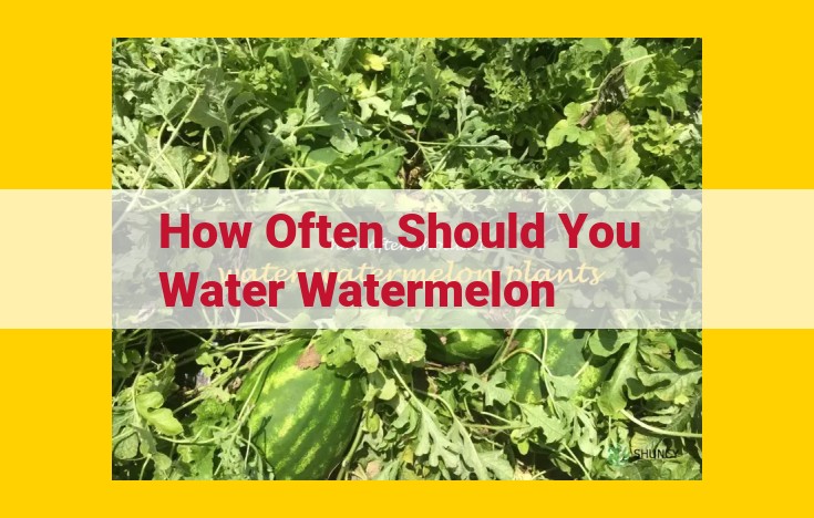 Master the Art of Watering Watermelons for Optimal Growth: A Comprehensive Guide