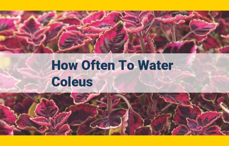 The Ultimate Watering Guide for Coleus: Frequency, Methods, and Tips