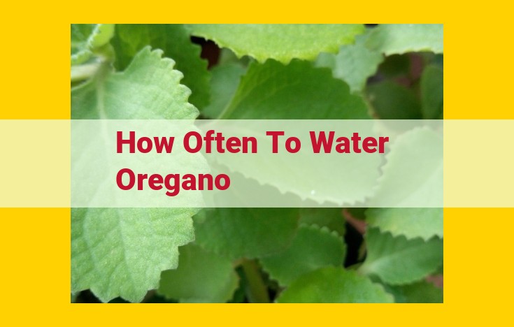 Optimized SEO Title: Master Oregano Care: Optimal Soil and Watering for Thriving Plants