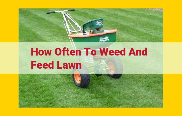 Essential Lawn Care Guide: Weeding and Feeding for a Lush, Healthy Lawn