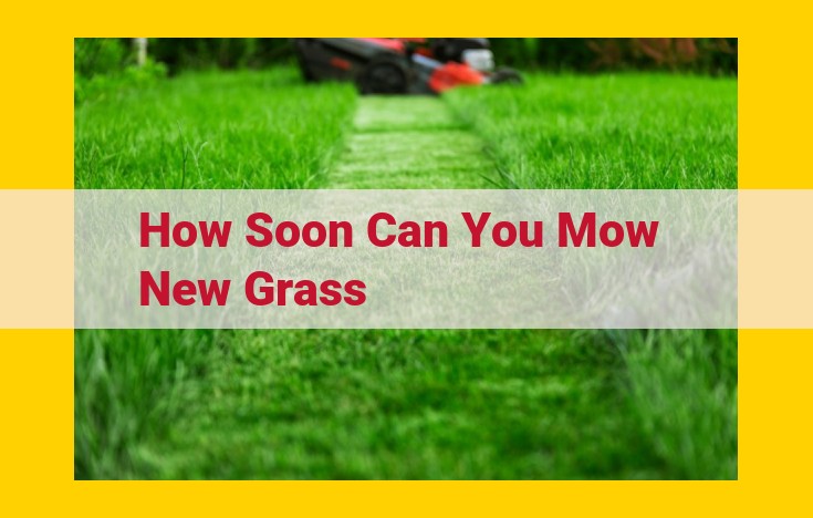 Optimal Grass Cutting: Timing, Technique, and Tips for Healthy Lawns