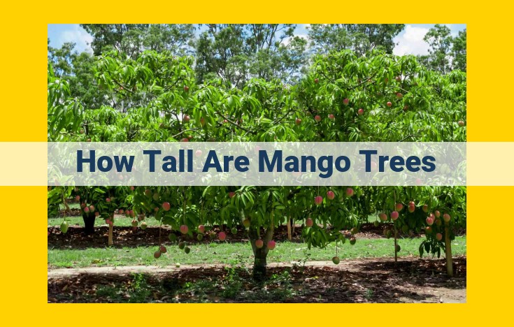 Colossal Mango Trees: Unveiling Their Height, Canopy, and Root System