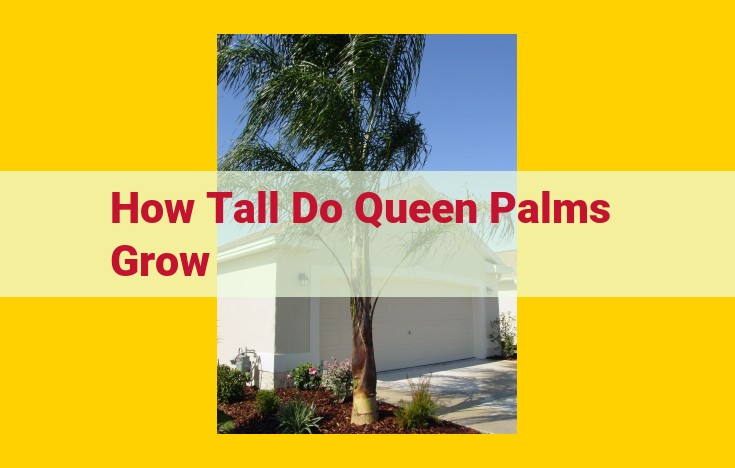 Botanical Intricacies of the Towering Queen Palm