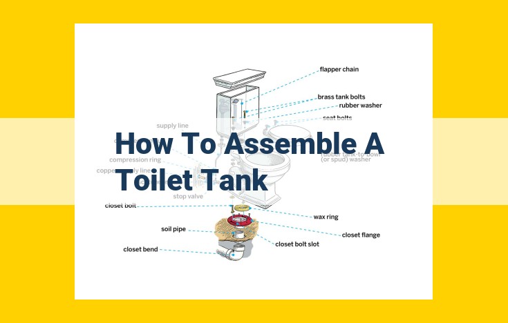 Step-by-Step Guide: How to Assemble a Toilet Tank with Ease