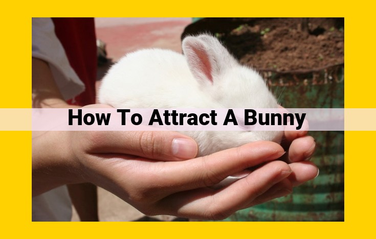 Attract a Bunny: Essential Tips for Optimal Pet Care and Adoption