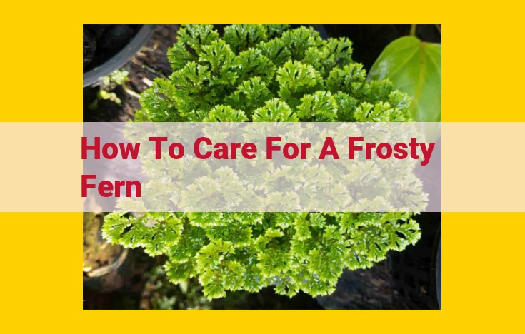 Expert Guide: Comprehensive Care for Your Enchanting Frosty Fern