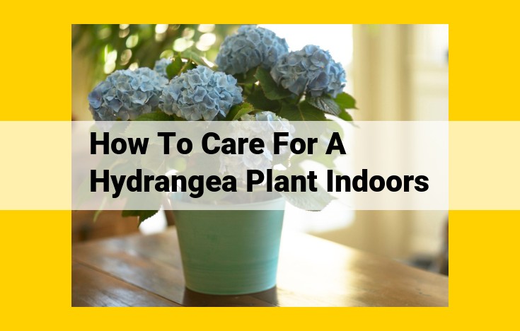 Essential Indoor Hydrangea Care Guide: Thriving with Light, Moisture, and Pruning