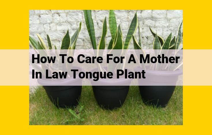 Comprehensive Guide to Caring for Your Mother-in-Law's Tongue Plant: Tips for Optimal Growth