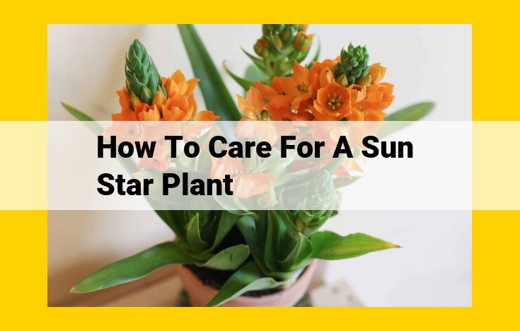 Comprehensive Sun Star Plant (Pellaea rotundifolia) Care Guide: Thrive with Ease