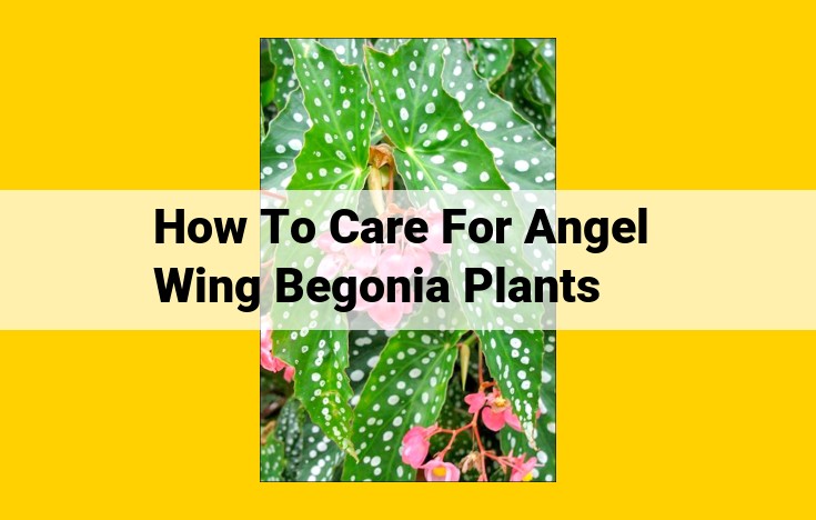 Ultimate Guide to Flourishing Angel Wing Begonias: Care, Pests, and Prevention