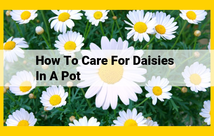 Nurturing Vibrant Daisies in Pots: Essential Care Guide for Thriving Blooms