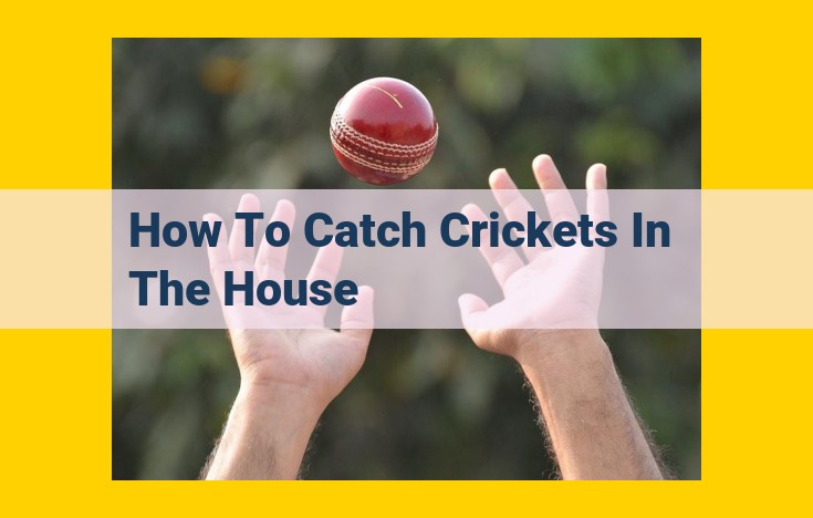 Effective Cricket Removal: A Complete Guide for Eliminating Crickets from Your Home