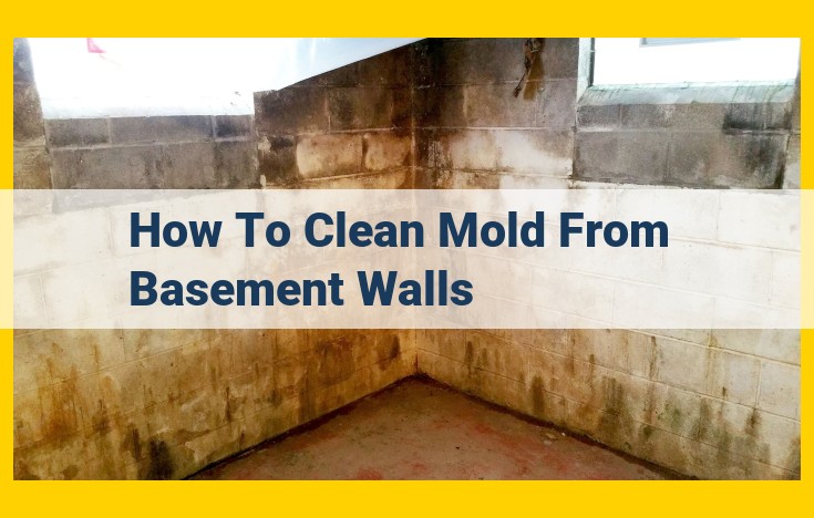 How to Eliminate Basement Wall Mold: A Step-by-Step Guide to Cleaning and Prevention