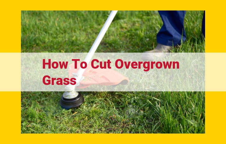 Effectively Cut Overgrown Grass: Essential Tools and Best Practices