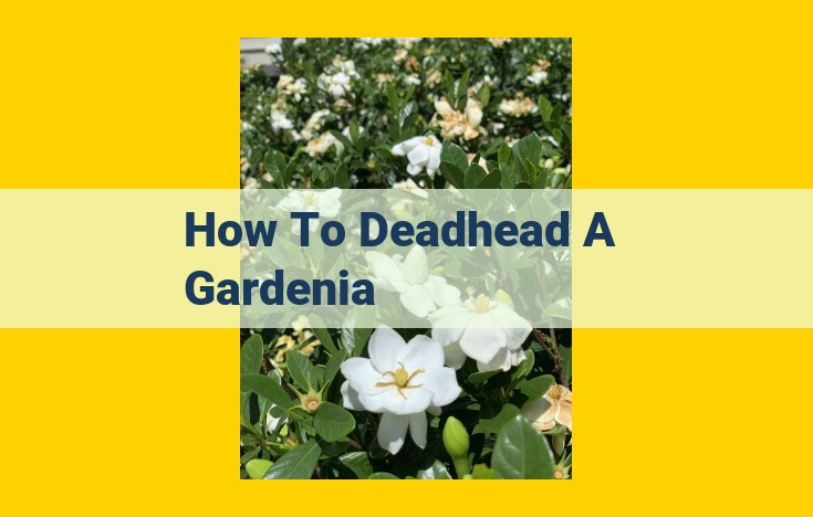 Master the Art of Deadheading Gardenias: Enhance Bloom, Health, and Beauty