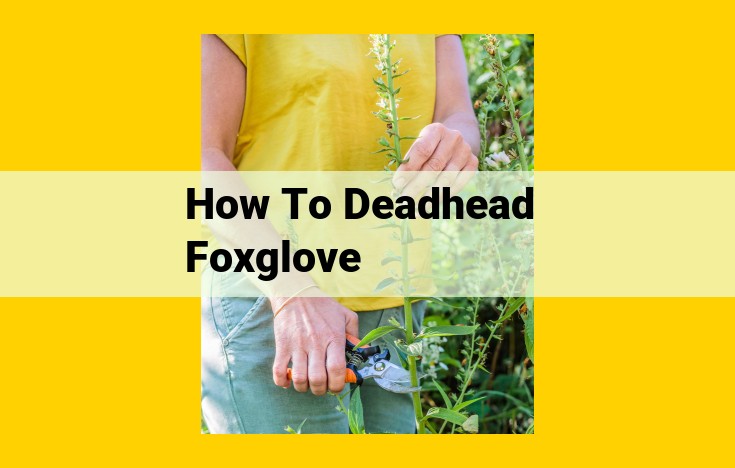 Essential Guide to Deadheading Foxglove: Maintain Beauty and Vigor