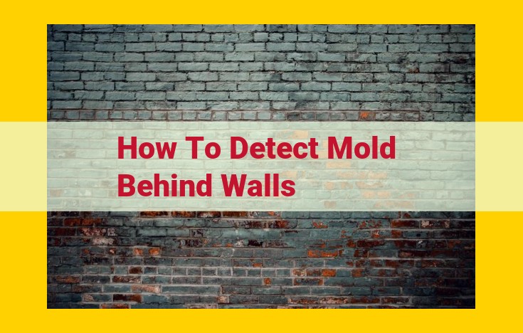 Comprehensive Guide to Detecting Mold Behind Walls: Sensory Clues, Testing, and Inspection