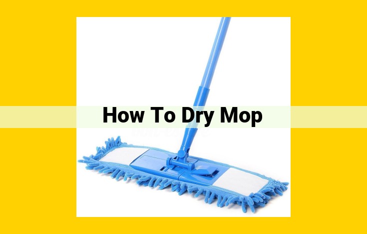 Optimize Dry Mopping for Immaculate Floors: A Step-by-Step Guide for Effective Cleaning