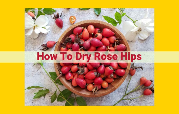 How to Dry Rose Hips for Optimal Health and Flavor