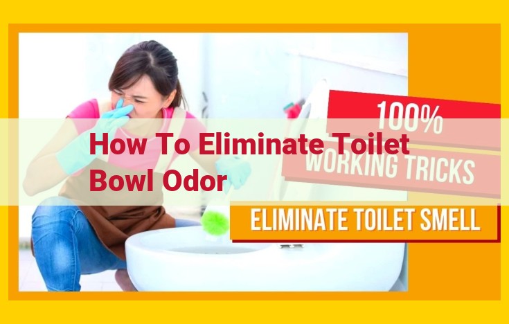 How to Eliminate Toilet Bowl Odor: A Comprehensive Guide