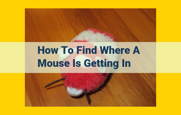 How to Locate and Prevent Mouse Entry Points: A Comprehensive Guide