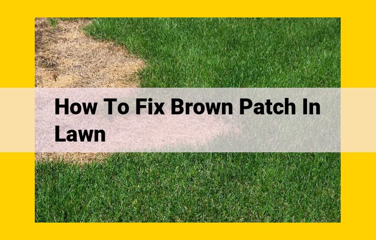 How to Eradicate Brown Patch in Your Lawn: A Comprehensive Guide