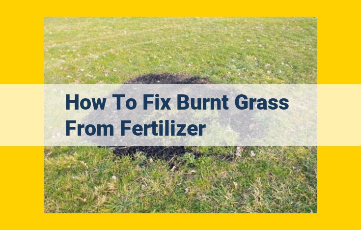 Reclaim Your Lawn: A Comprehensive Guide to Recovering from Fertilizer Burn