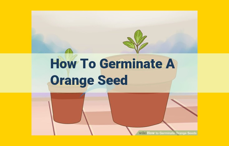 A Comprehensive Guide to Germinating Orange Seeds for Successful Growth