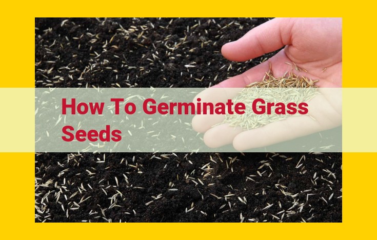 Expert Guide: Master the Art of Grass Seed Germination for a Lush, Green Lawn